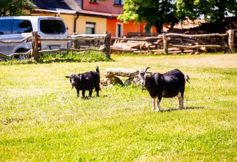 Aamiaismajoitus (B&B) Ferienhof Domäne Groschwitz