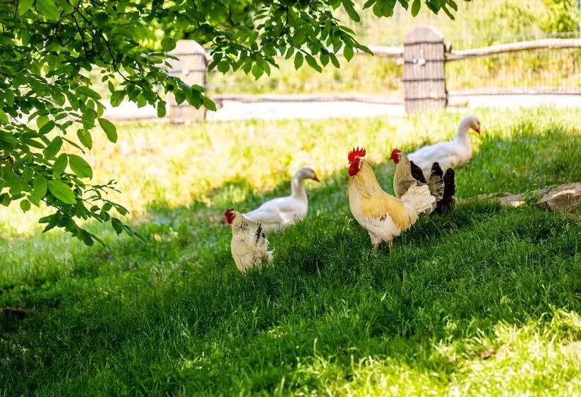 Aamiaismajoitus (B&B) Ferienhof Domäne Groschwitz