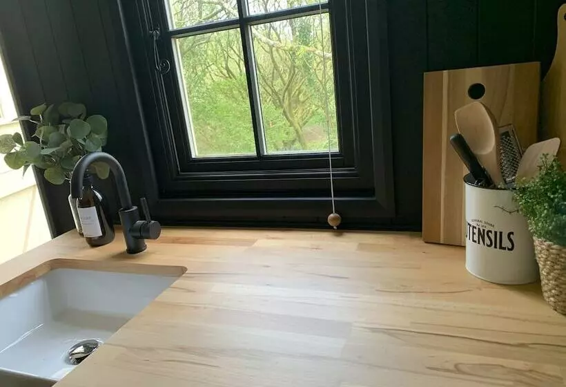 Cornwall Woodland Dog Friendly Shepherd S Hut