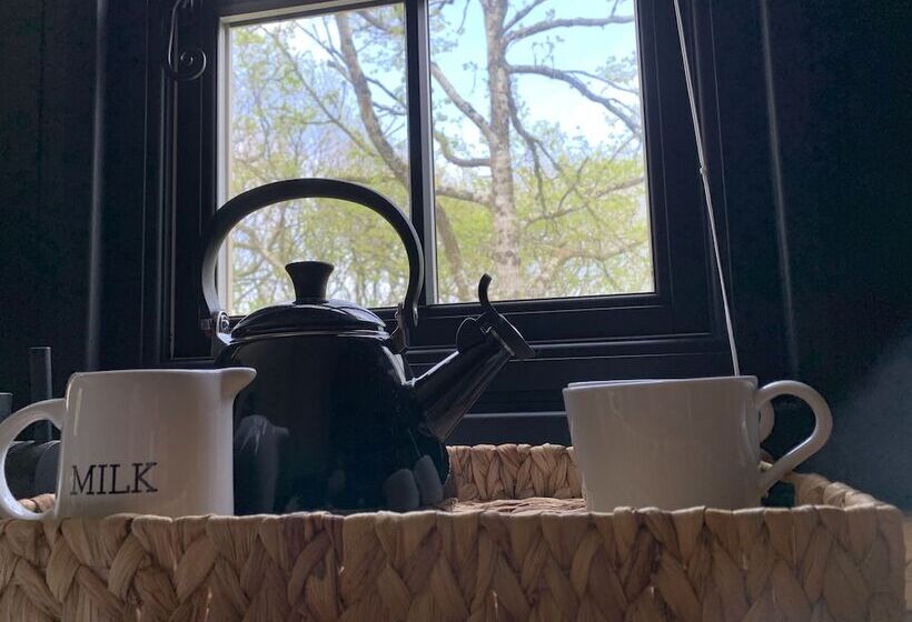 Cornwall Woodland Dog Friendly Shepherd S Hut