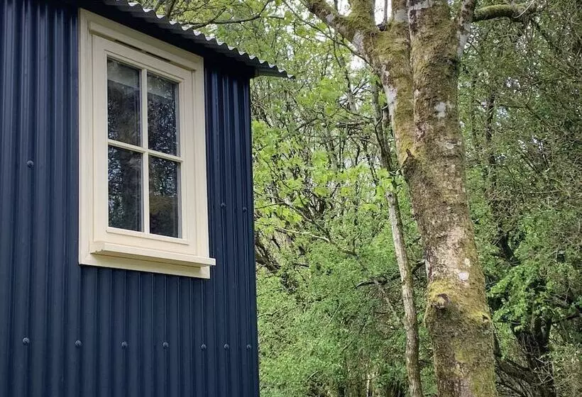 Cornwall Woodland Dog Friendly Shepherd S Hut