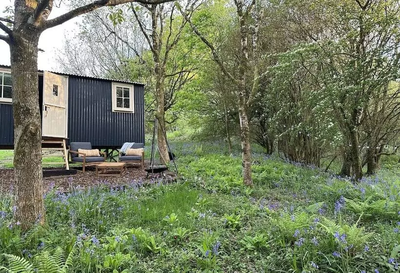 Cornwall Woodland Dog Friendly Shepherd S Hut