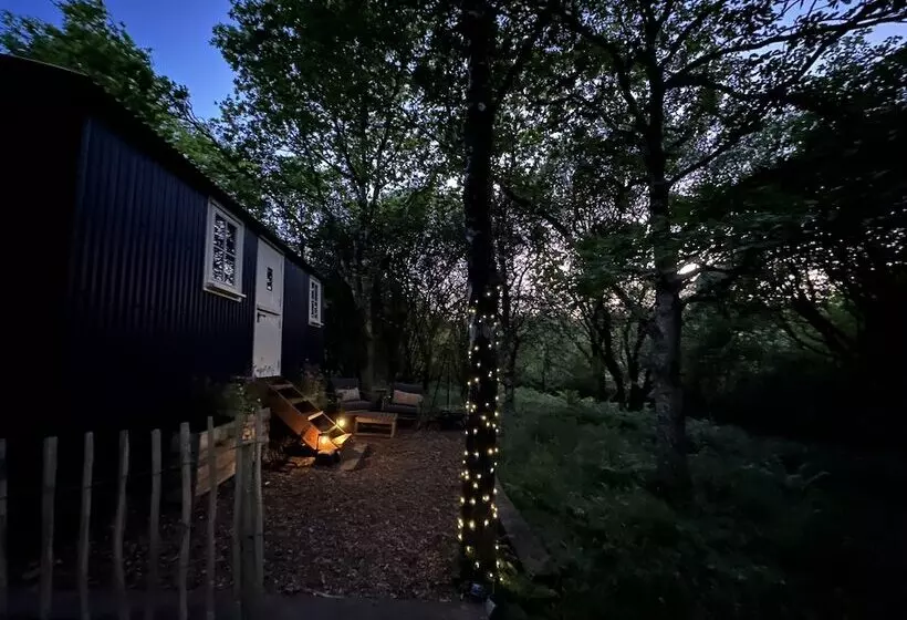 Cornwall Woodland Dog Friendly Shepherd S Hut