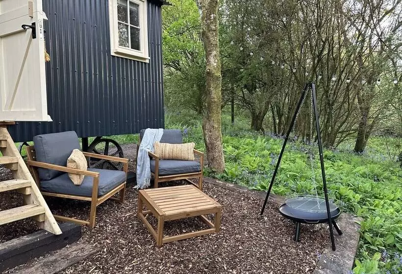 Cornwall Woodland Dog Friendly Shepherd S Hut