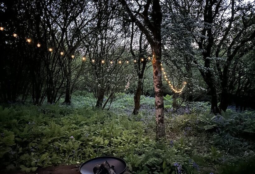 Cornwall Woodland Dog Friendly Shepherd S Hut