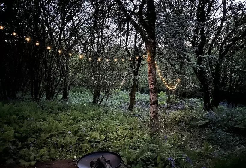 Cornwall Woodland Dog Friendly Shepherd S Hut