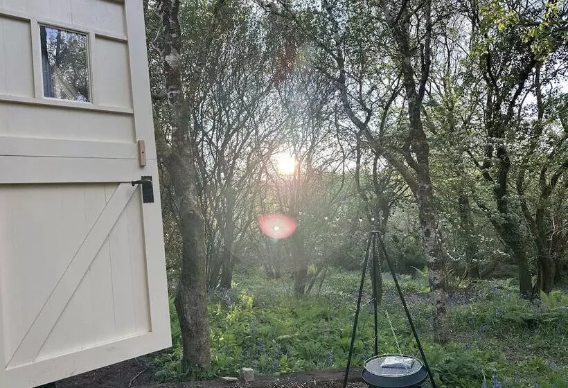 Cornwall Woodland Dog Friendly Shepherd S Hut