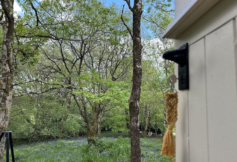 Cornwall Woodland Dog Friendly Shepherd S Hut