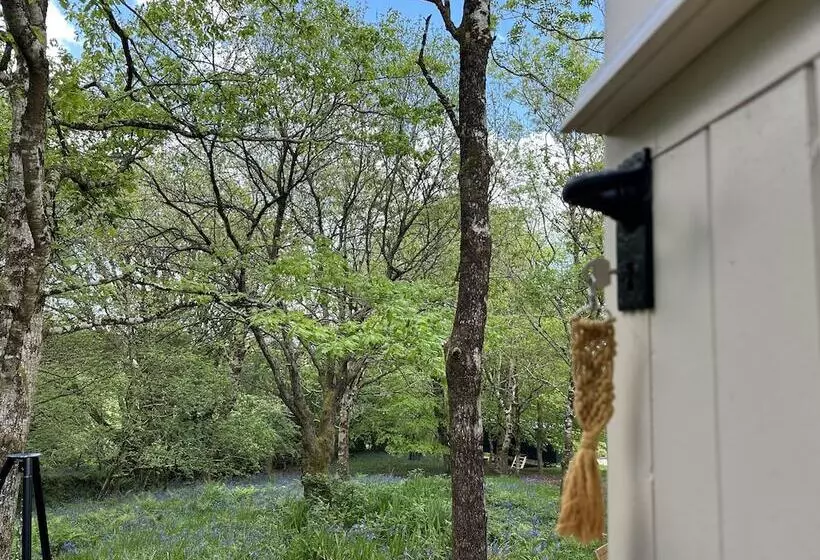 Cornwall Woodland Dog Friendly Shepherd S Hut
