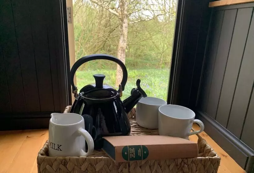 Cornwall Woodland Dog Friendly Shepherd S Hut