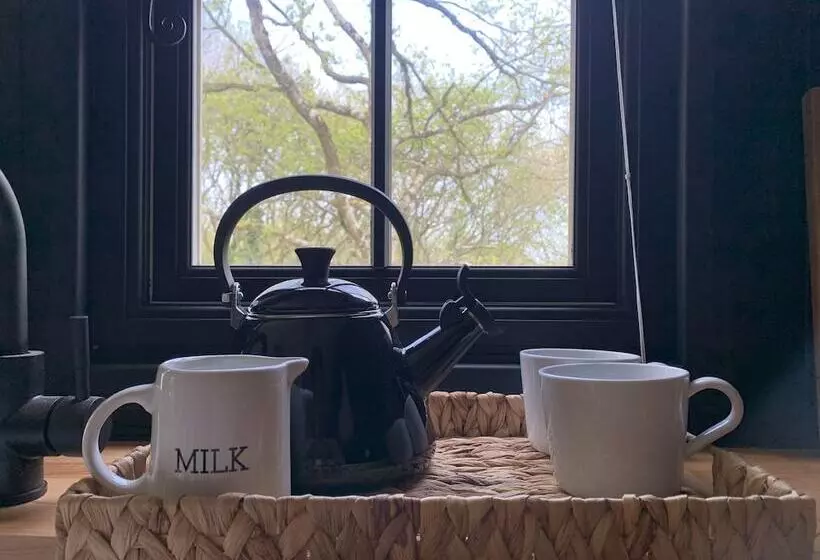 Cornwall Woodland Dog Friendly Shepherd S Hut