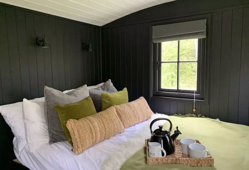 Cornwall Woodland Dog Friendly Shepherd S Hut
