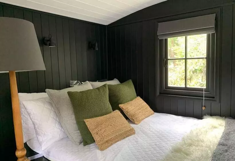 Cornwall Woodland Dog Friendly Shepherd S Hut