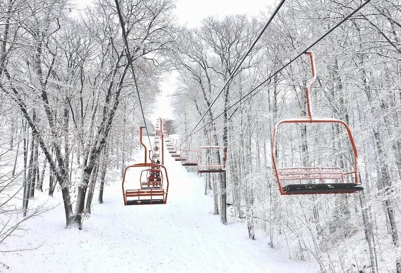 Harbor Springs Home: 1 Mi To Nubs Nob Ski Resort