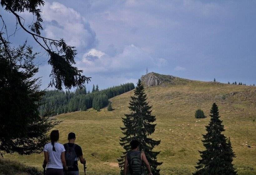 Mountain Rest Pension