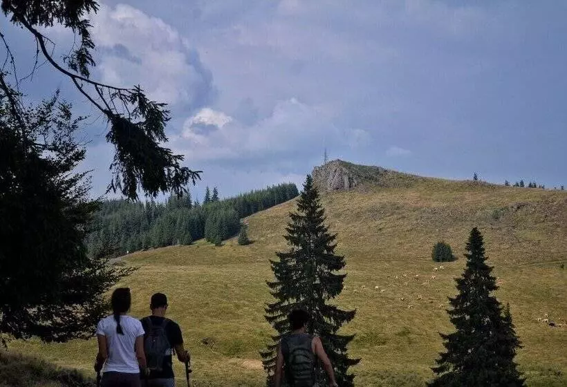 Mountain Rest Pension