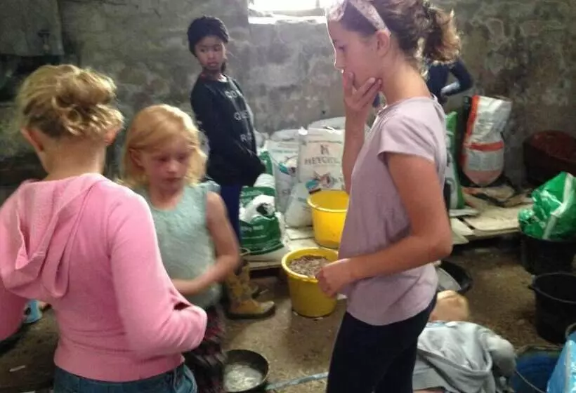 Relaxing Holiday In Millpond Cottage   Cwmiar