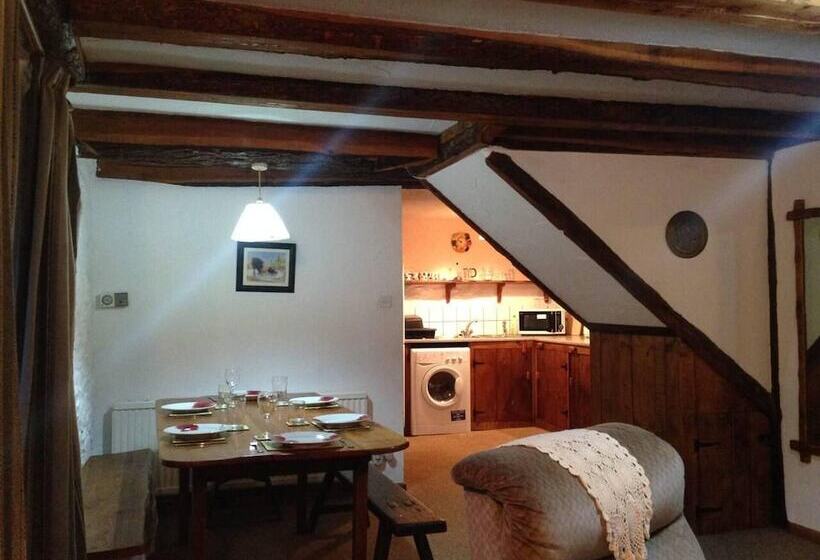 Relaxing Holiday In Millpond Cottage Cwmiar