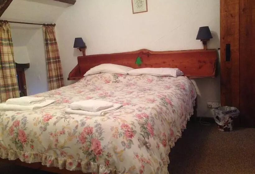 Relaxing Holiday In Millpond Cottage   Cwmiar