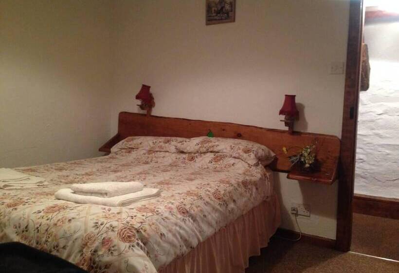 Relaxing Holiday In Millpond Cottage Cwmiar