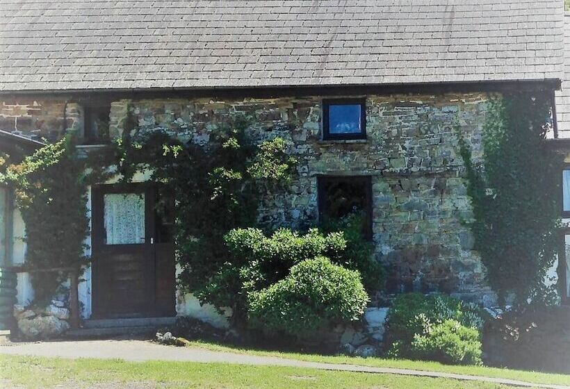 Relaxing Holiday In Millpond Cottage Cwmiar