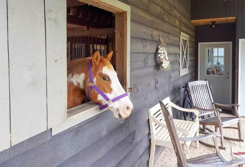 Rustic & Authentic Farm Stay By Dupont Forest!