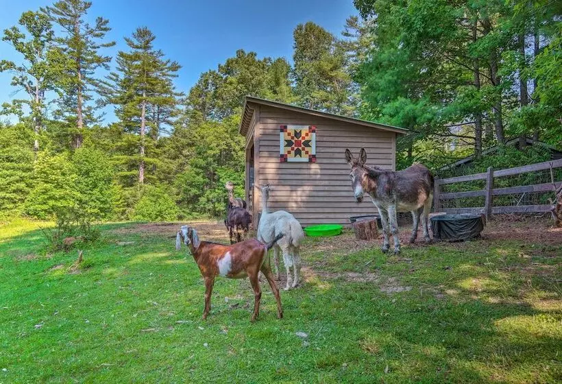 Rustic & Authentic Farm Stay By Dupont Forest!