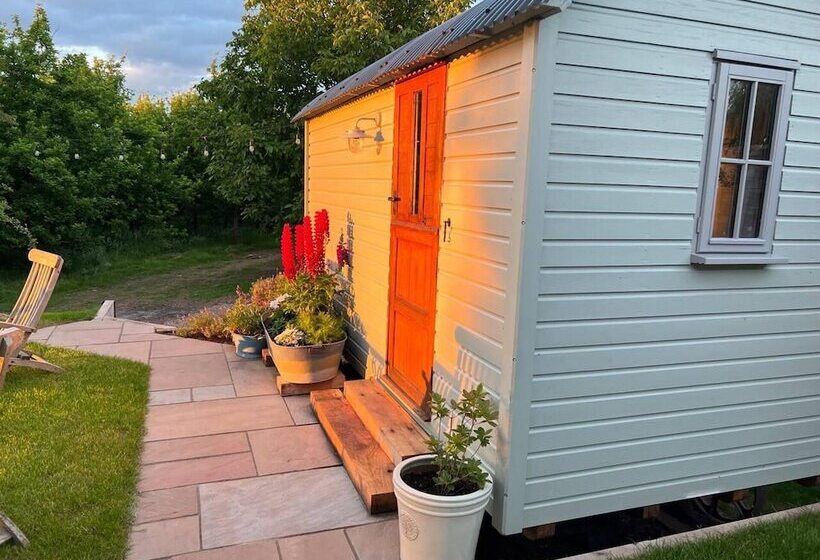 Shepherd S Hut In A Herefordshire Cider Orchard