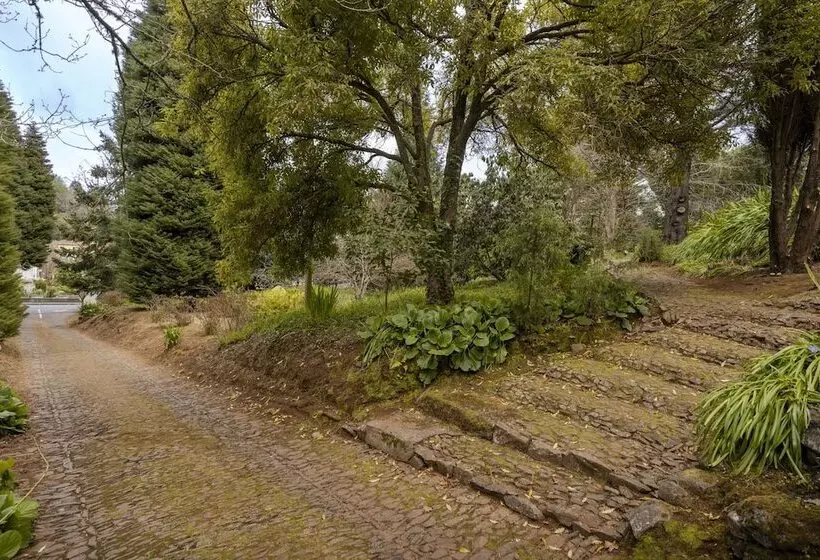 Surrounded By Nature   Casa Da Cebola