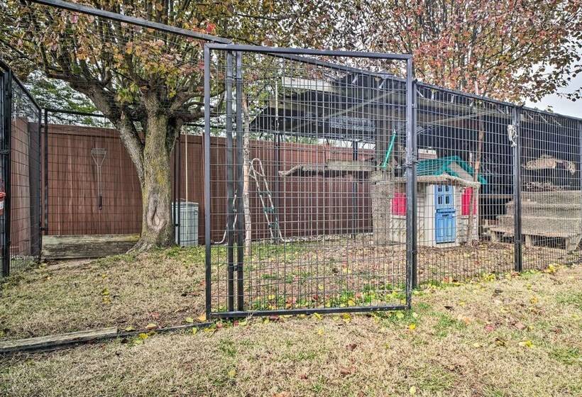 Sevierville Home: Lookout Deck, 10 Mi To Dollywood
