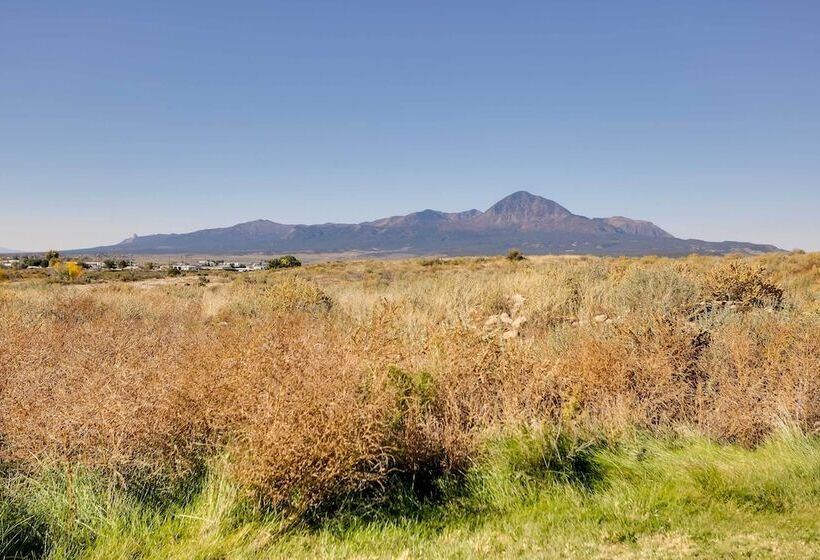 Cortez Retreat W/ Office & Stunning Mtn Views