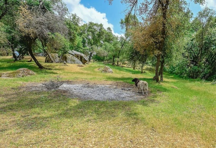 Adventure Haven W/ On Site Fun: Near Sequoia!