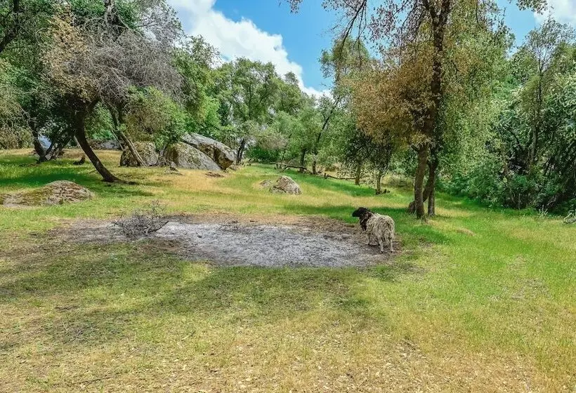Adventure Haven W/ On Site Fun: Near Sequoia!