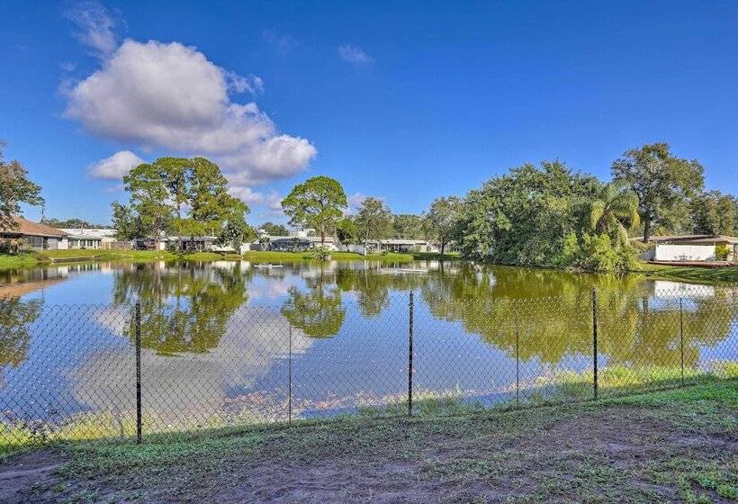 Modern Seminole Home W/ Patio, 3 Mi To Beach!