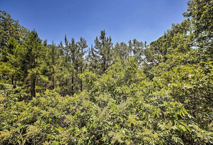 Studio W/ Deck: Near Thorncrown Chapel & Lakes