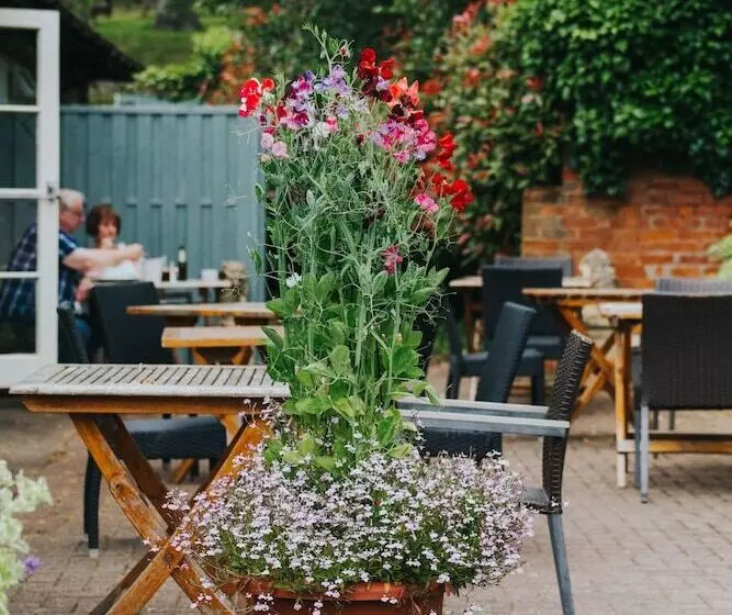 Aamiaismajoitus (B&B) Kings Arms Otterton