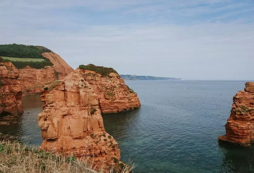 Aamiaismajoitus (B&B) Kings Arms Otterton