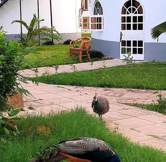 هتل Afro Garden