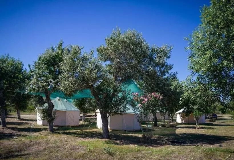 ホテル Paliouri Luxury Bungalows