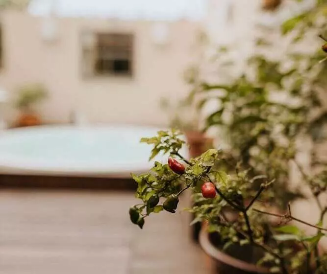 Hotelli Paty's Garden