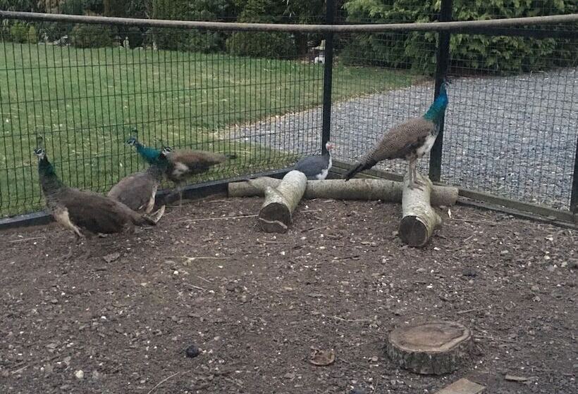 乡村酒店  Suffolk Retreats For Up To 24 Guests With Hot Tub