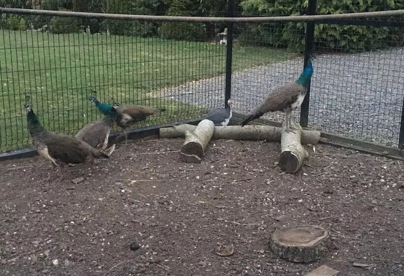 Maaseutuhotelli Suffolk Retreats For Up To 24 Guests With Hot Tub