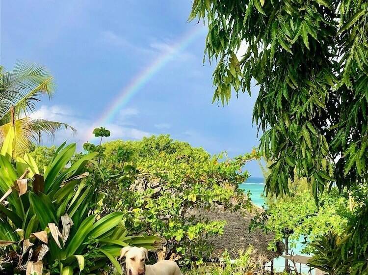 酒店 Sazani Beach Lodge