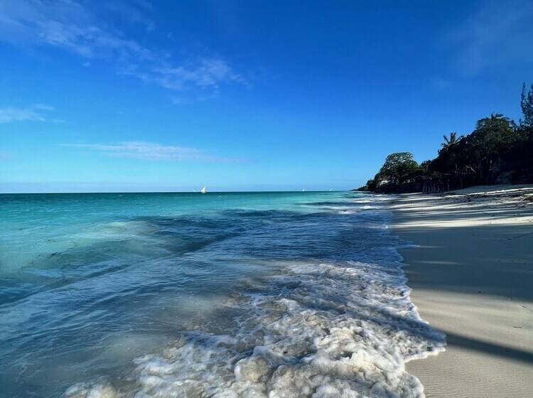 酒店 Sazani Beach Lodge