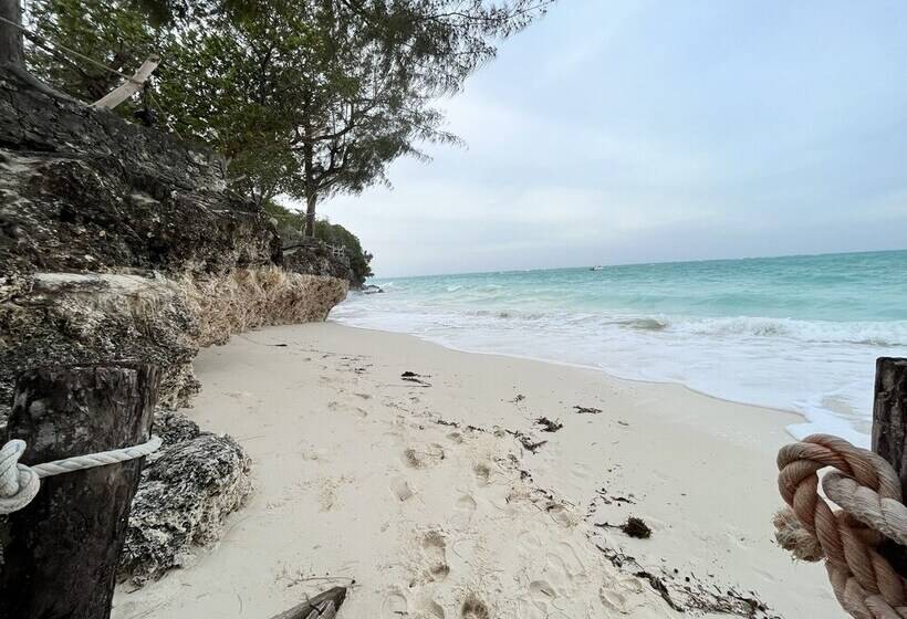 酒店 Sazani Beach Lodge