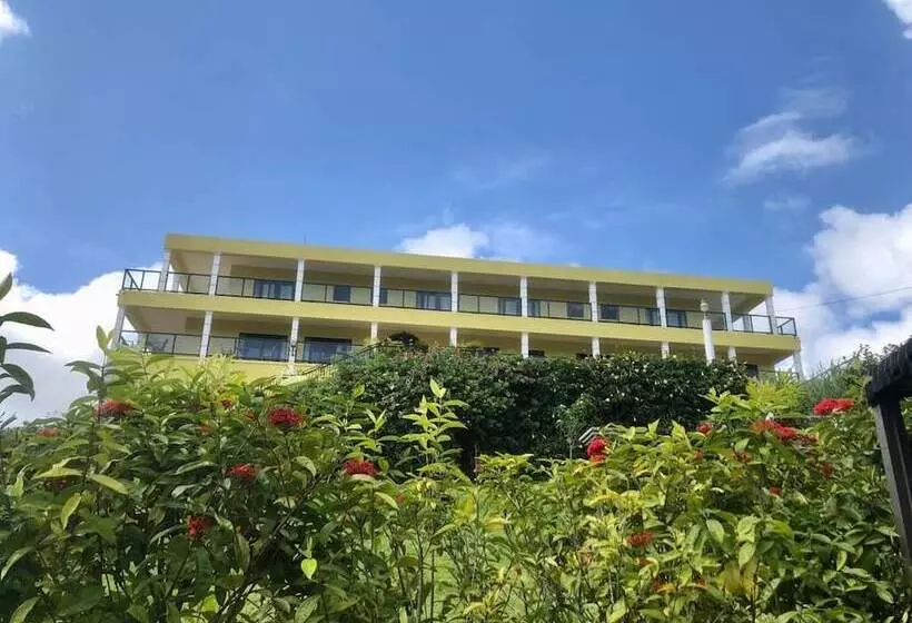 پانسیون Allenview Guesthouse
