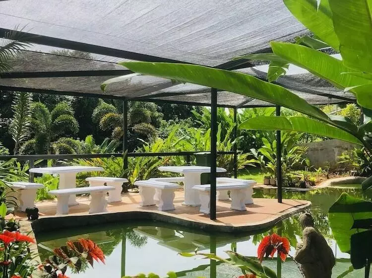 پانسیون Allenview Guesthouse