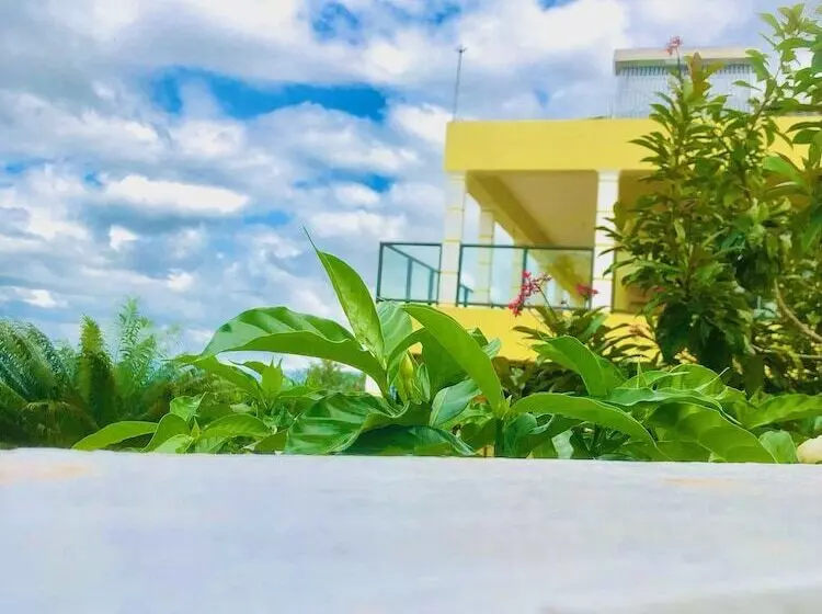 پانسیون Allenview Guesthouse