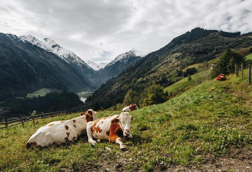 Pension Baranek   Baranek Resorts