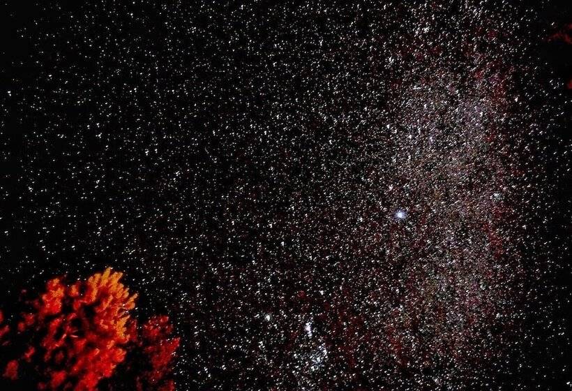 리조트 Lake Ruataniwha Holiday Park